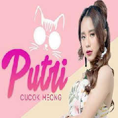 Download lagu Putri KDI - Cucok Meong