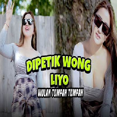 Download lagu Wulan Tumpah Tumpah - Dipetik Wong Liyo